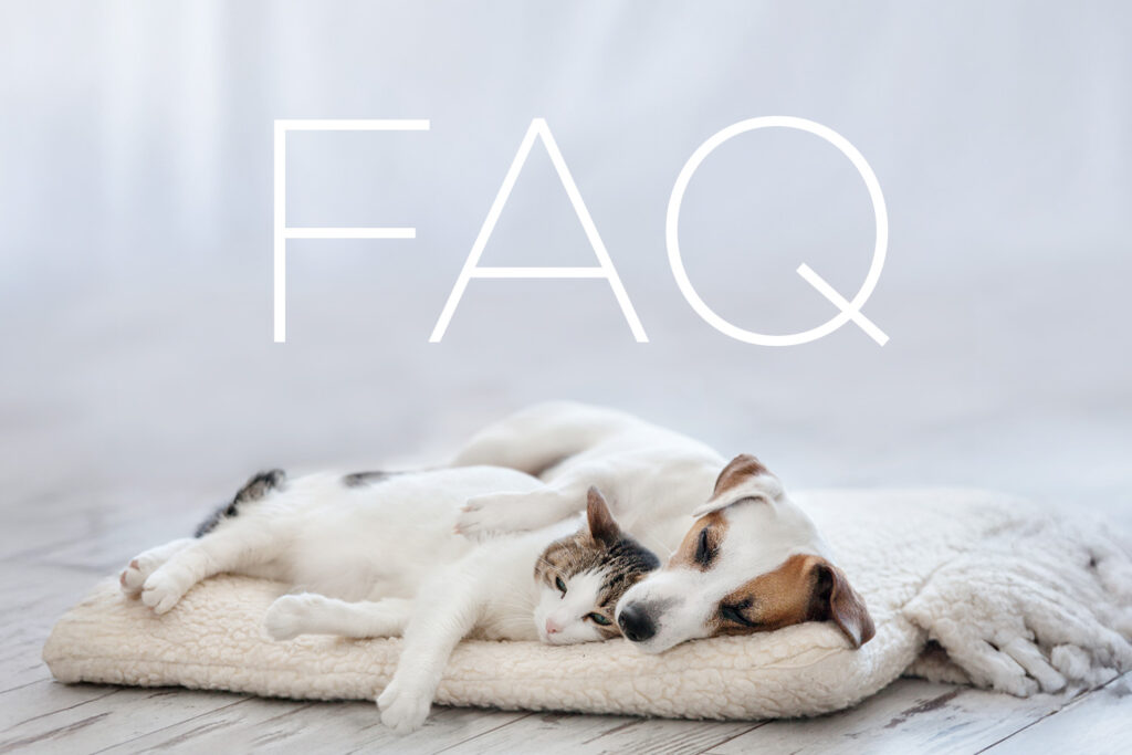 ペット供養・お骨壺のよくある質問と答えをまとめました